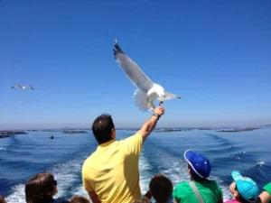 Ruta en catamarán por O Grove y visita a mejillonera 5