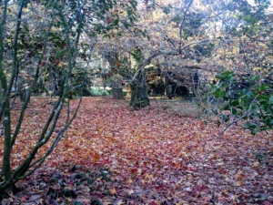 Excursión al Pazo La Saleta 4