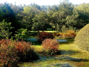 Excursión al Pazo La Saleta 3