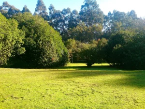 Excursión al Pazo La Saleta 2