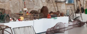 Catamarán + Museo de la salazón en O Grove 9