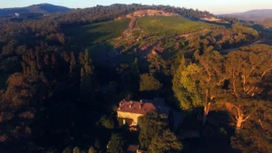 Excursión al Pazo De Rubianes 6