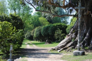 Excursión al Pazo De Rubianes 5