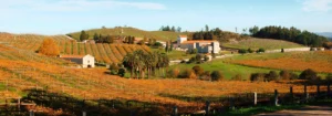 Excursión al Pazo De Baión