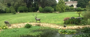 Excursión al Pazo De Rubianes