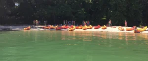 Ruta en kayak a la Isla de Cortegada y Ruta de Senderismo.