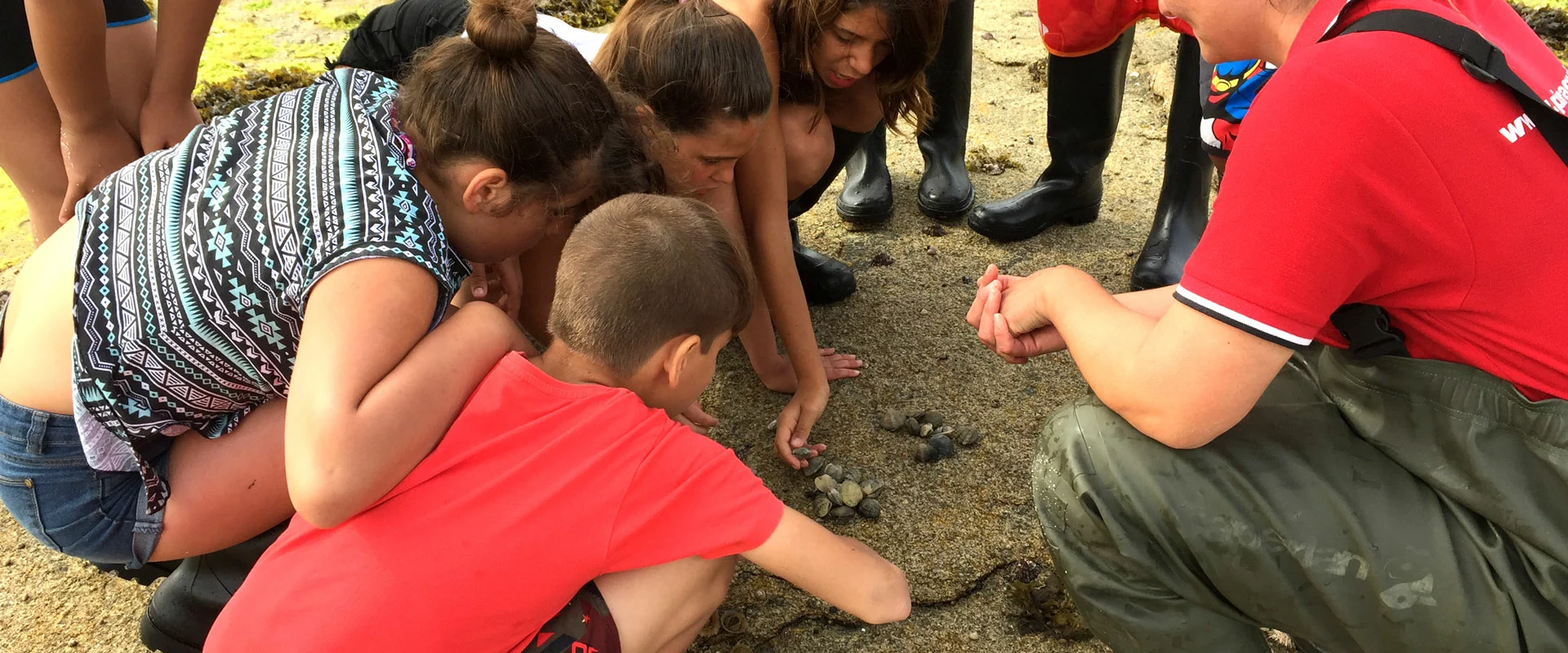 Taller de marisqueo en A Illa de Arousa