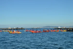 Ruta en kayak por A Illa de Arousa y visita a mejillonera 7