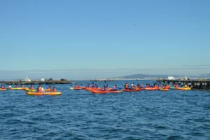 Ruta en kayak al Islote de Areoso 5