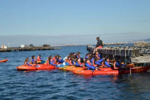 Ruta en kayak por A Illa de Arousa y visita a mejillonera