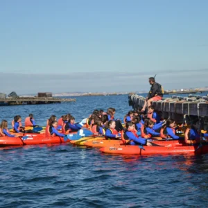 Ruta en kayak por A Illa de Arousa y visita a mejillonera