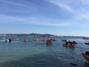Ruta en kayak a la Isla de Cortegada y Ruta de Senderismo. 4