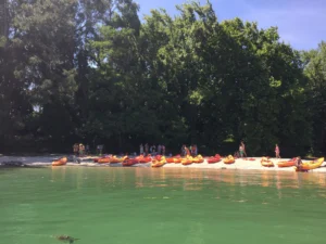 Ruta en kayak a la Isla de Cortegada y Ruta de Senderismo. 2
