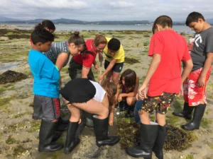 Taller de marisqueo en A Illa de Arousa 4