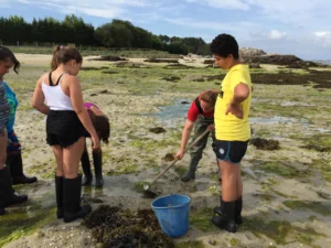 Taller de marisqueo en A Illa de Arousa 8