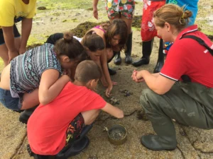 Taller de marisqueo en A Illa de Arousa 7