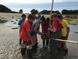 Taller de marisqueo en A Illa de Arousa 6